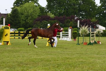 Bild 50 - Elmshorn am 9.6.10